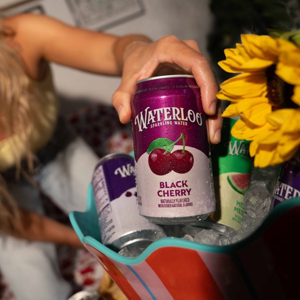 Alternative view of Black Cherry